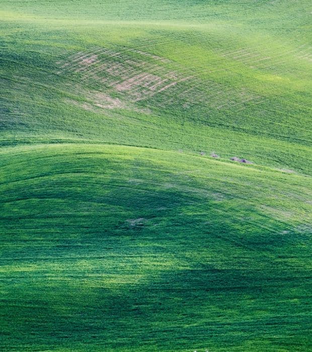 Environnement